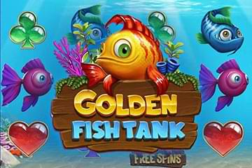 Golden Fish Tank